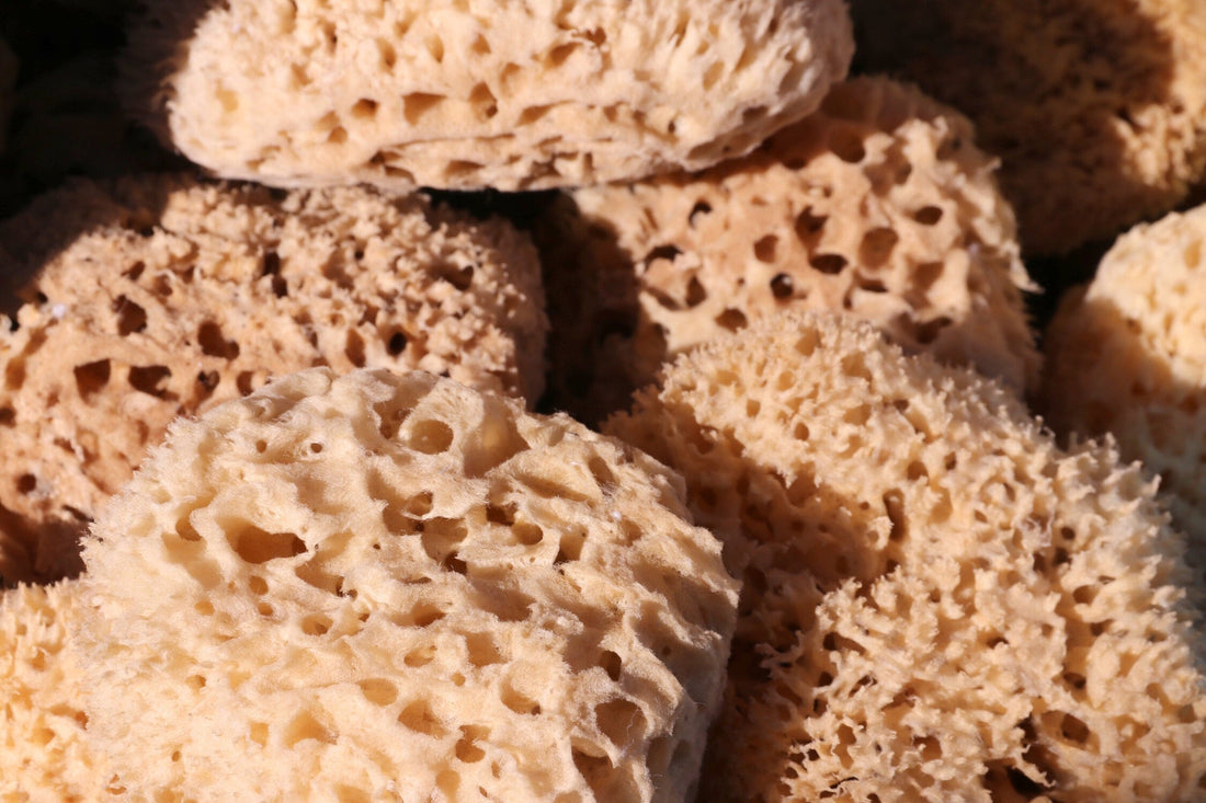 Why Natural Sea Sponges Are the Ultimate Eco-Friendly Choice for Your Home and Skin