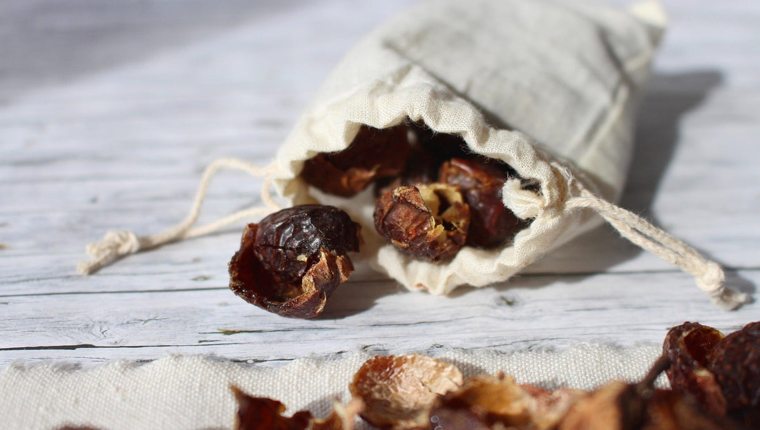 Soap Nuts: The Natural Laundry Detergent Alternative